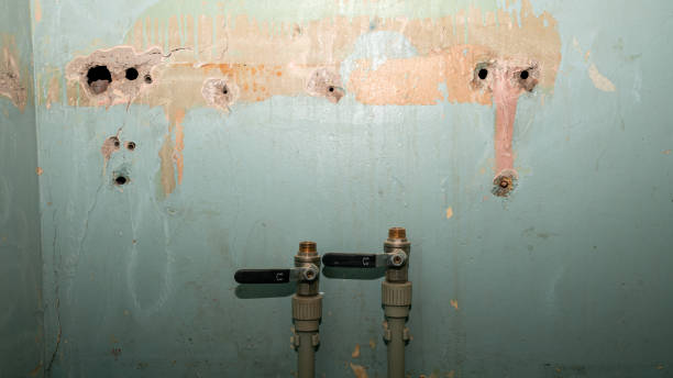Best Basement water damage restoration  in New Market, VA